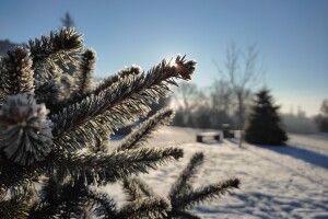 7 лютого: свята, події, іменинники