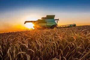 Сільське господарство Волині просіло на 5 відсотків