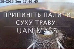 Припиніть палити суху траву! (Відео)