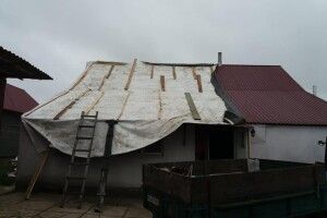 На Рівненщині дерево впало на хату і заблокувало двох жінок (Фото)