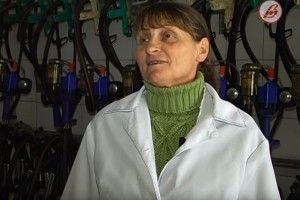 Доярці з Волині Президент присвоїв звання «Заслужений працівник сільського господарства України»