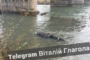 В Ужгороді під мостом знайшли тіло переселенки