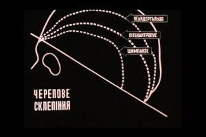 З Японії повернули в Україну перший український повнометражний науковий фільм 