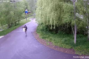 Під Луцький зоопарк підкинули цуценят. Просять впізнати собачу зозулю