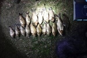 На волинському озері Синове браконьєр наловив риби на 31 тисячу гривень