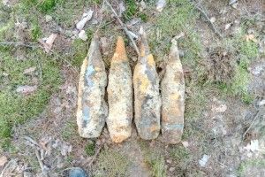 На Волині сапери знешкодили 6 боєприпасів
