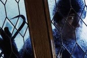Винесли двері: на Волині злодії розбирають… хату