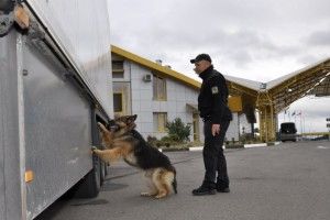 Прикордонники завадили незаконному ввезенню в Україну гормональних препаратів