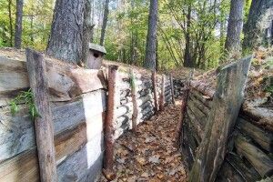 Колиска УПА на Волині: розповіли історію урочища Вовчак та про його жителів (Фото, Відео)