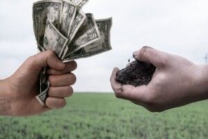 Депутати «земельної» комісії у Володимирі-Волинському продають один одному землю