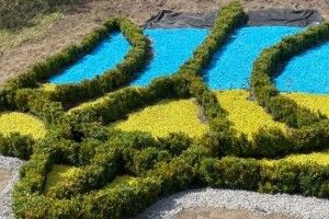 Декомунізація на Рівненщині: замість стели – тризуб із кущів (Відео)