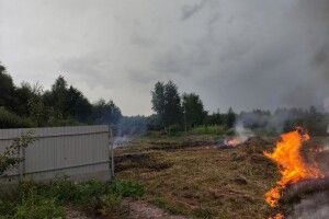 Волинянин запалив траву і ледь не спалив свій будинок (Фото)