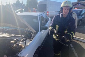 На Волині під капот автомобіля заліз плазун