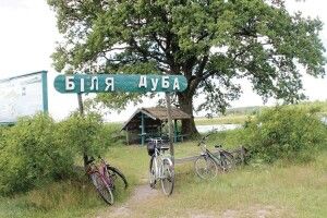 Де на Волині можна побачити хижу рослину, яка... їсть тварин