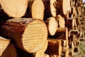У Шацькому районі поліцейські затримали трактор із сумнівною деревиною