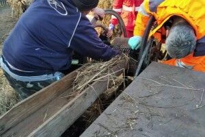 У Рівненському районі чоловіку затиснуло руку у соломорізці (Фото 18+)