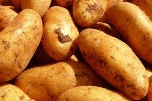 Путін отримав від Лукашенка мішки у подарунок