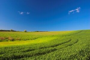 У Луцьку стартує курс для громадських інспекторів з охорони довкілля