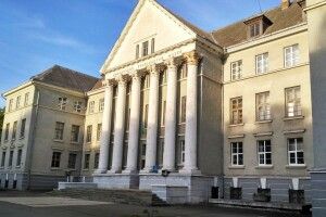 Писанка XII століття, знайдена ветераном, стала центром унікальної виставки у Волинському музеї