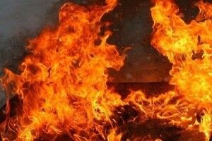 Лісова пожежа у Любомльському районі підбирається до села Забужжя – місцеві жителі просять про допомогу