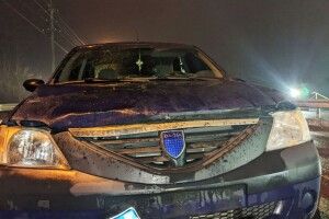 У Рівному під колеса машини потрапили бабуся з онукою (Фото)