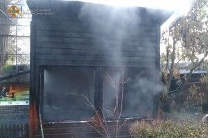 У Луцьку вранці горів зоопарк: деякі тварини загинули (Фото) 