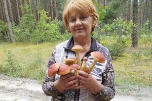 На Волині новий гриб завойовує популярність (Фото)
