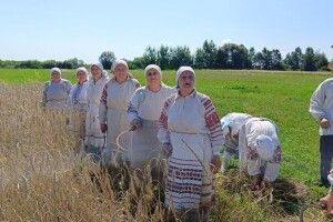 Як на Волині зберігають традиції під час збирання врожаю