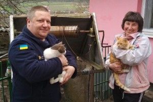 Рятувальникам довелося витягати двох котів, які під час бійки шубовснули у криницю (фото)