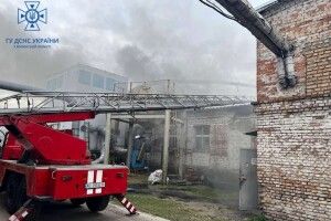 На Волині сталася пожежа на підприємстві (Фото)