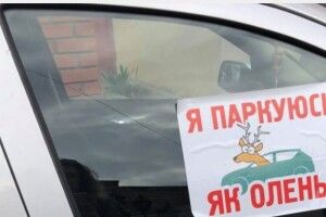 У Луцьку муніципали за 3 години виписали штрафів майже на 20 тисяч гривень 