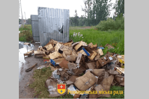 У Рожищі насвинячили біля смітників