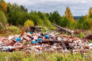 На території однієї громади виявили 10 стихійних сміттєзвалищ 