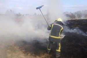 На Волині через людську недбалість горіли чагарники, сухостій та торф
