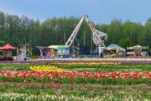 Волинська Голландія відкрилася (Фото)