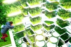 Оприлюднено список ТОП агропрофесій майбутнього