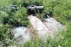 Волинський археолог зафіксував занедбане єврейське кладовище на Полтавщині