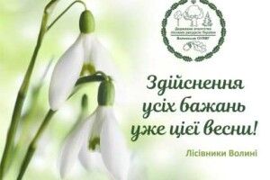 Що побажали панянкам лісівники Волині