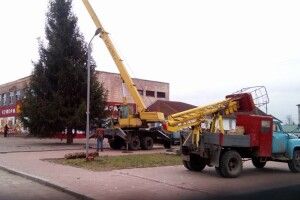 У Старій Вижівці встановили новорічну ялинку (Фото)