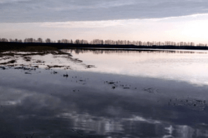 За тиждень площа підтоплень на Волині збільшилась вдвічі