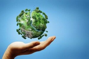 У Луцькій громаді затвердили перелік природоохоронних заходів на 2023 рік