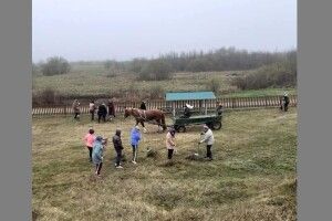 У громаді на Волині провели толоку (Фото)