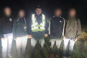 На Волині група людей заблукала в лісі