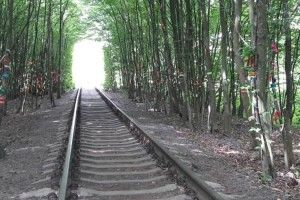  Тунель кохання облаштують для туристів