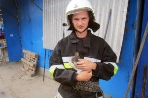 Бійці ДСНС врятували кошеня, яке застрягло між торговельними кіосками