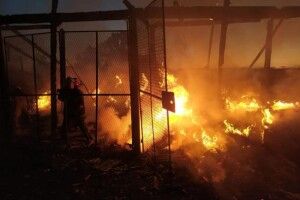 У селян на Рівненщині згоріло чотири тонни сіна