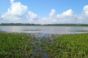 На Волині викрили порушників заповідного режиму