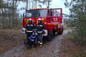 У селі на Волині тварина потрапила у глибоку пастку (Фото)