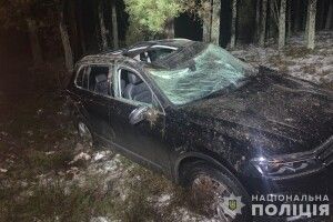 На Волині автівка злетіла у кювет