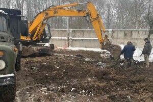 У луцькому притулку для тварин тимчасово не прийматимуть відвідувачів 